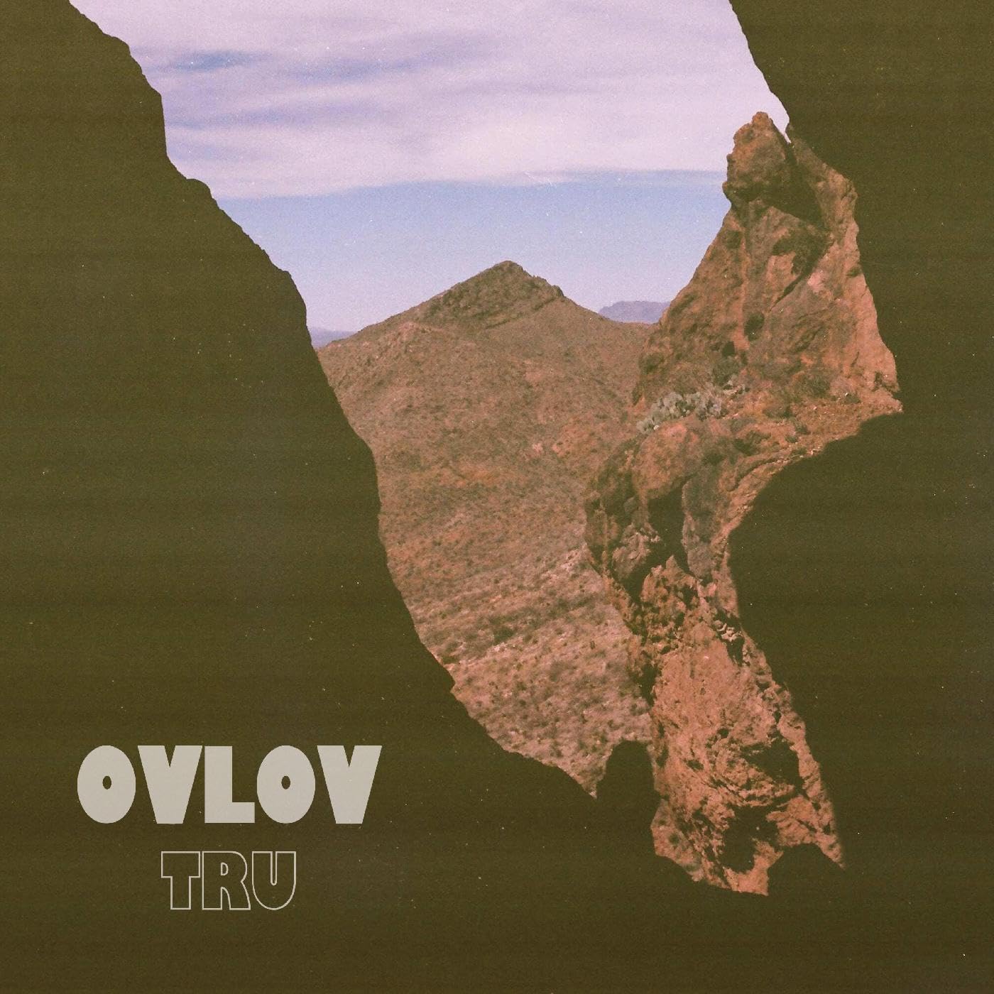 Ovlov - TRU (BROWN VINYL)