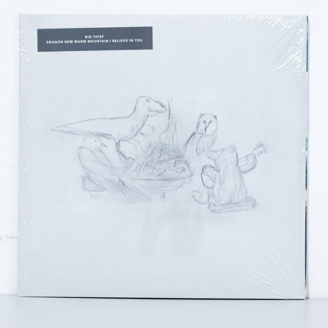 Big Thief - Dragon New Warm Mountain I Believe In You