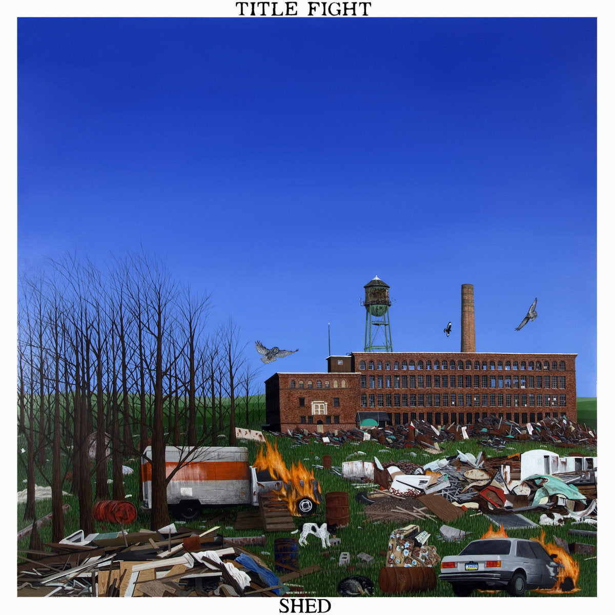 Title Fight - Shed Vinyl