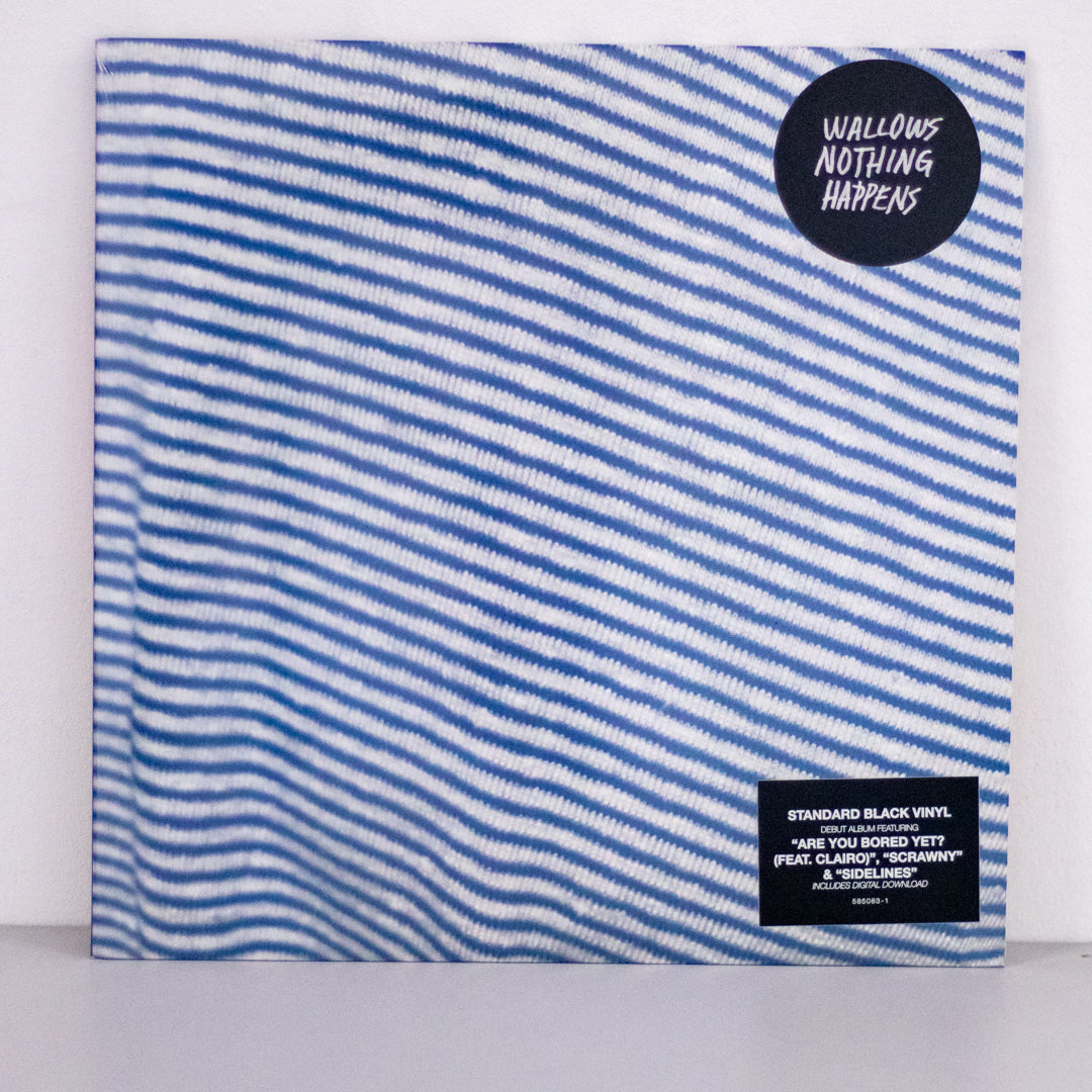 Wallows - Nothing Happen Vinyl