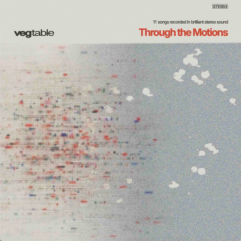 Vegtable - Through The Motions Vinyl