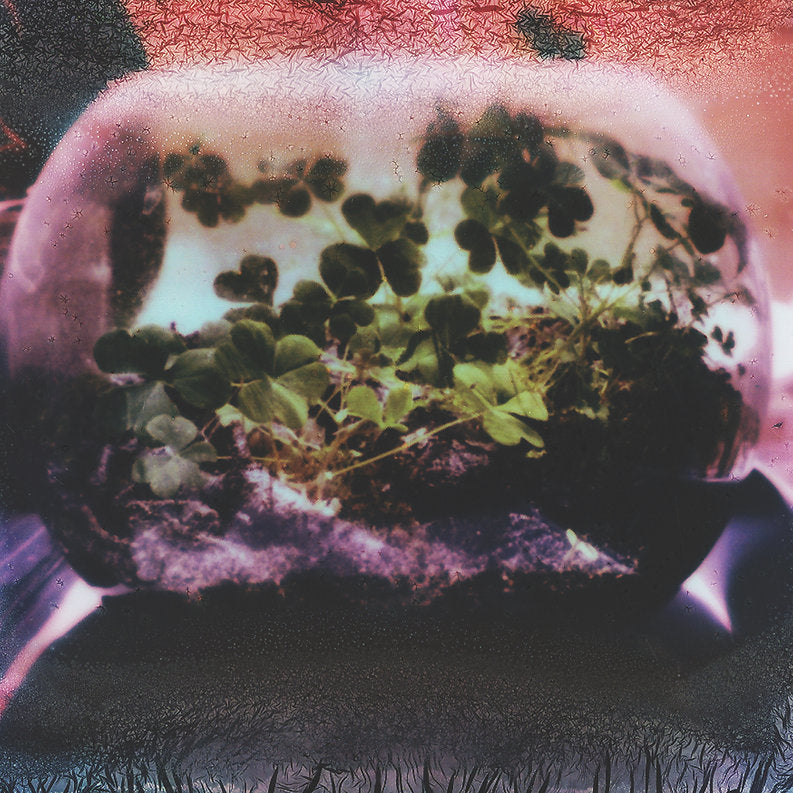 Death Of Heather - FOREVER Vinyl