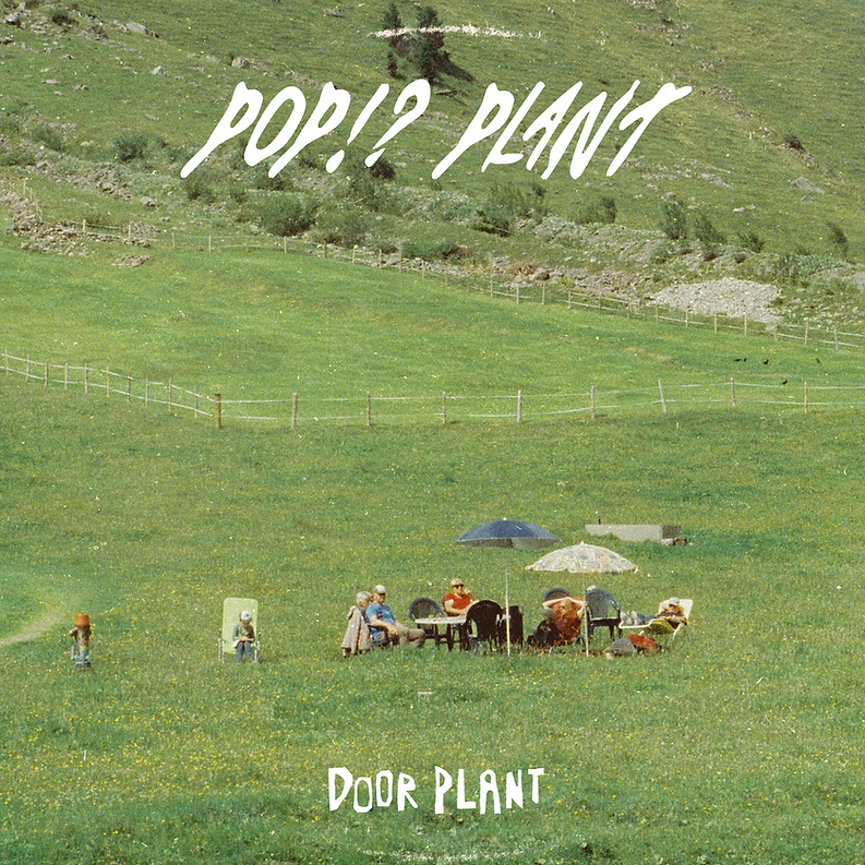Door Plant - PoP!? Plant Vinyl