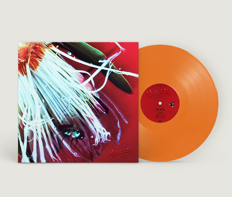 YONLAPA - Velvet Petals Vinyl