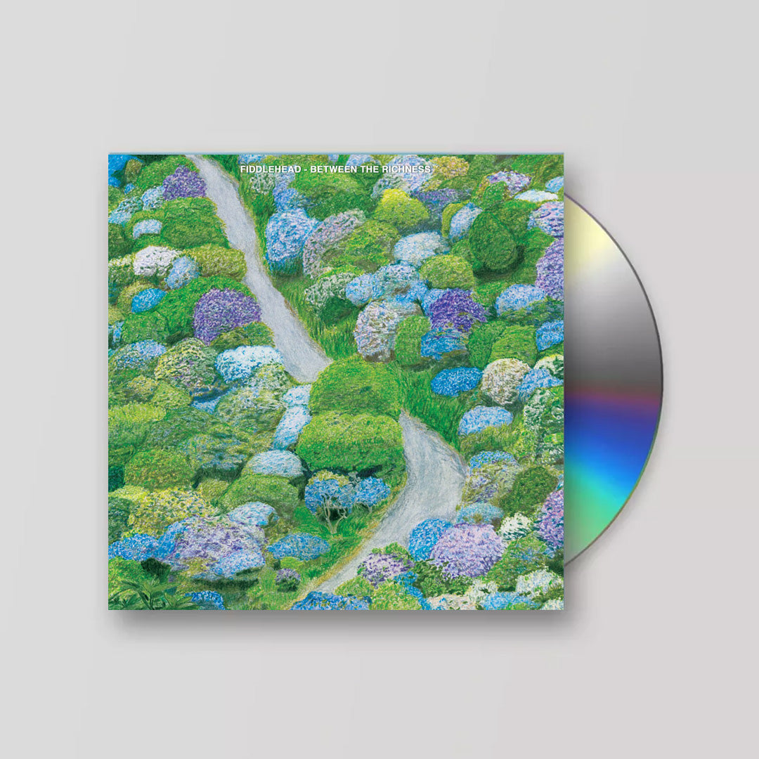 Fiddlehead - Between The Richness