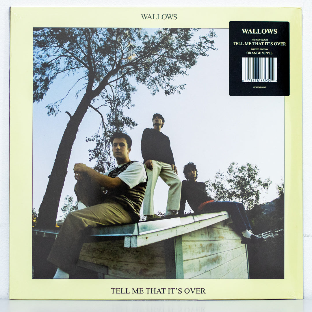 Wallows - Tell Me That It's Over Vinyl