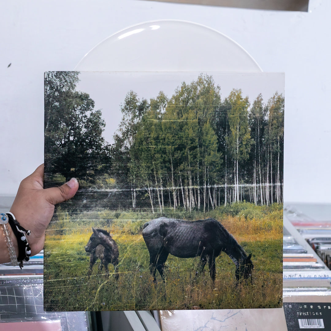 Pianos Become The Teeth - Old Pride