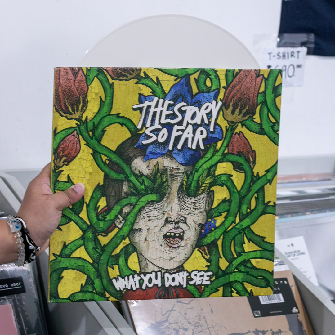 The Story So Far - What You Don't See