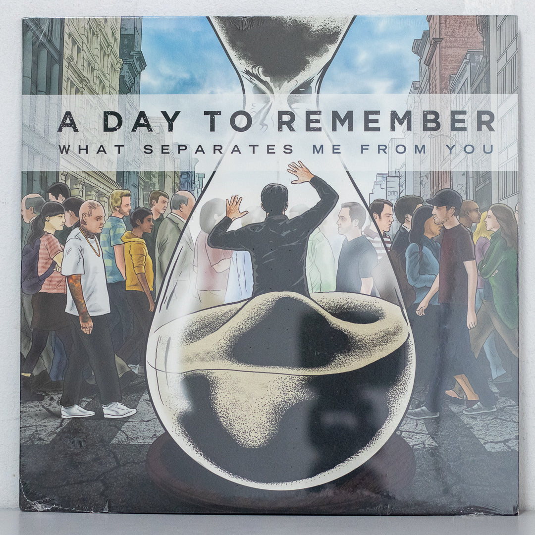 A Day To Remember – What Separates Me From You Vinyl
