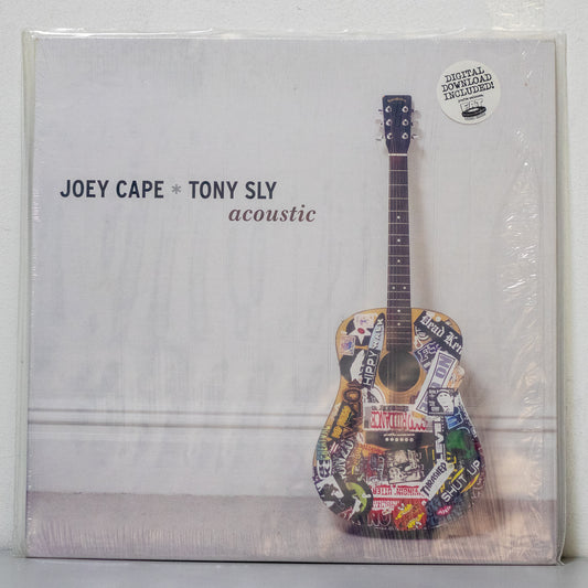 Joey Cape and Tony Sly - Acoustic Vinyl