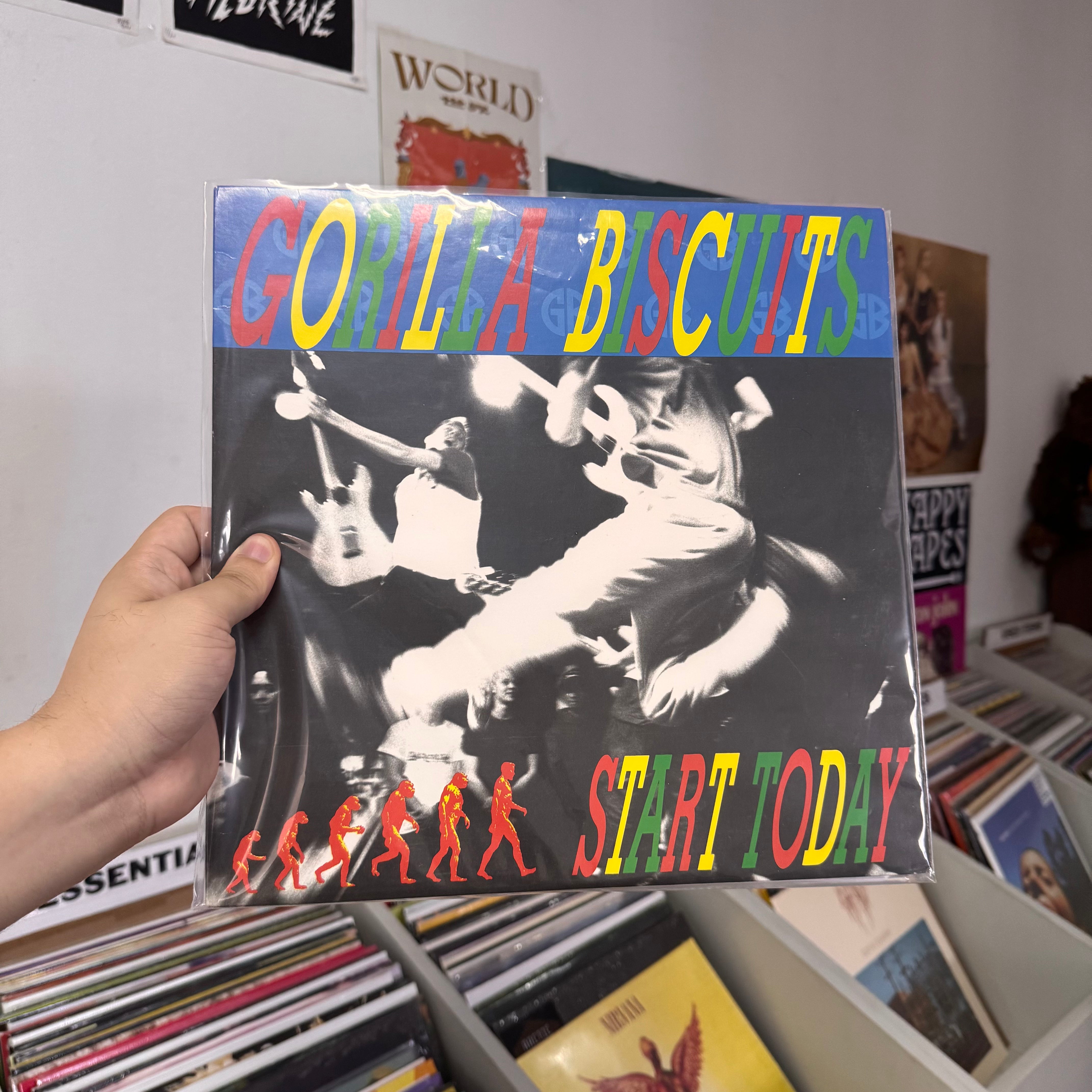 USED - Gorilla Biscuits - Start Today LP