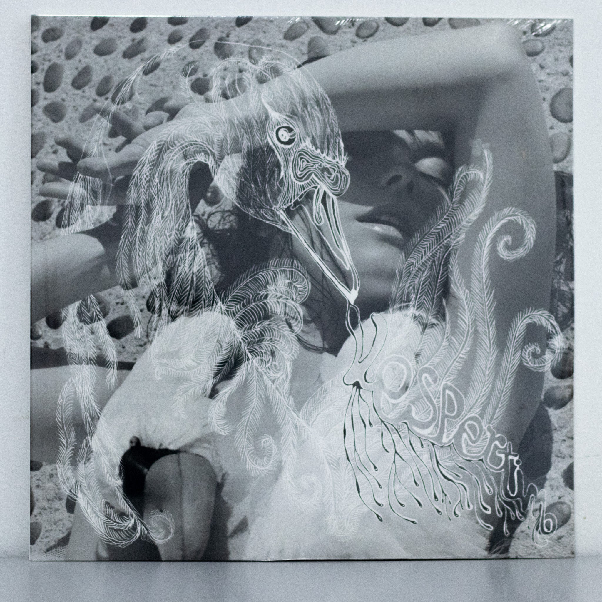 Bjork - Vespertine Vinyl