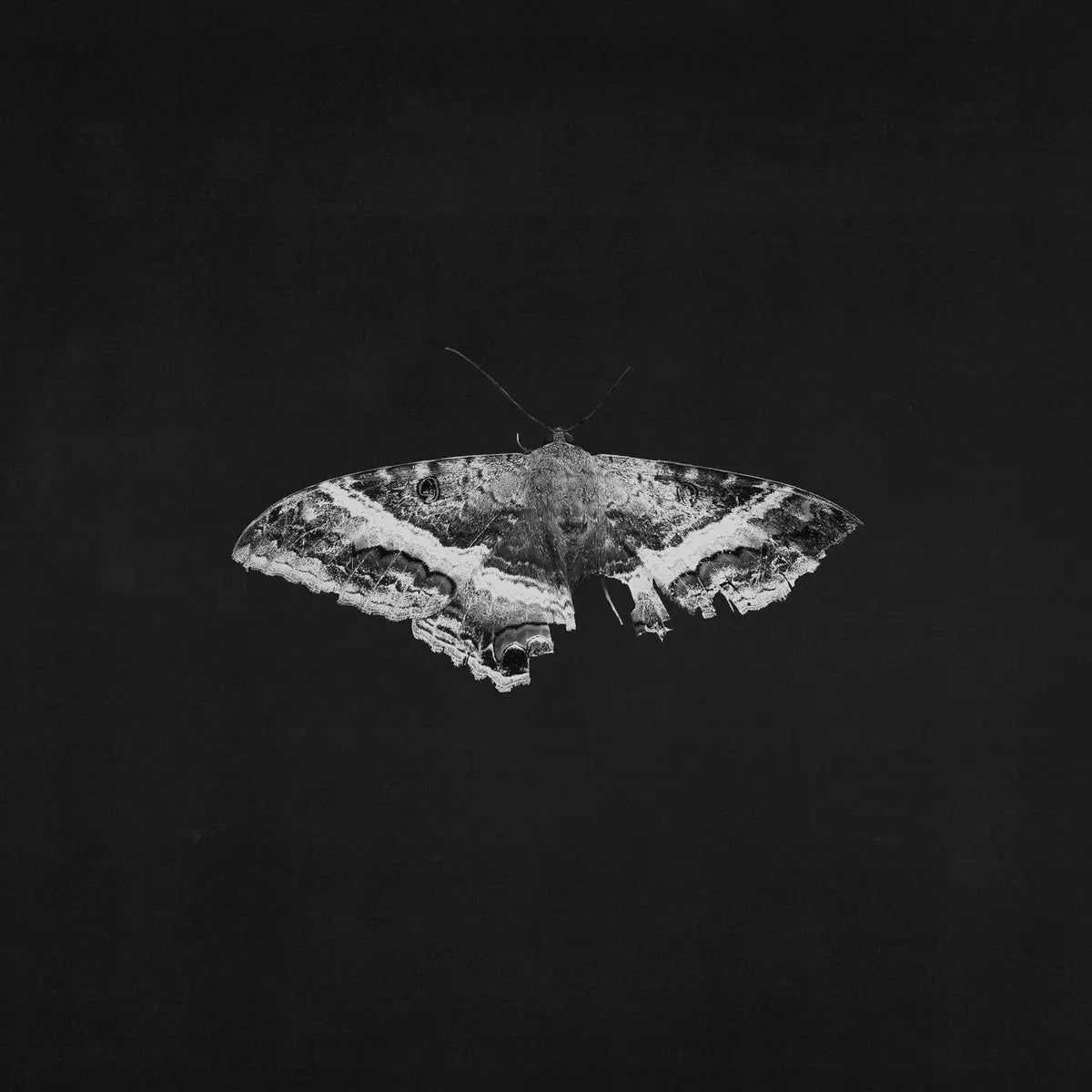 Kendrick Lamar - To Pimp A Butterfly (10 Year Anniversary Edition) Indie Exclusive Vinyl