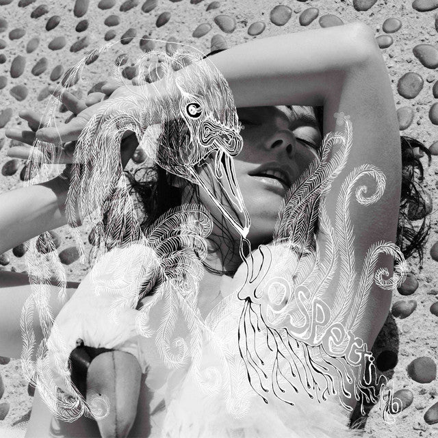Bjork - Vespertine Vinyl