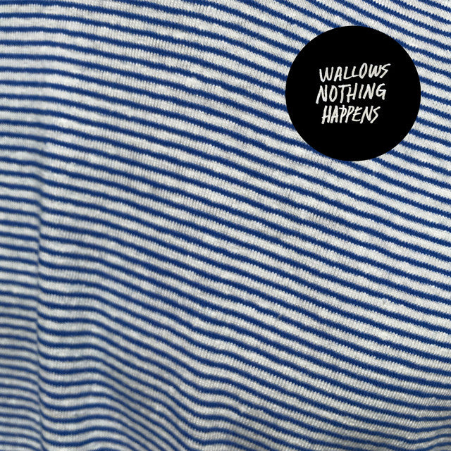 Wallows -  Nothing Happen Vinyl