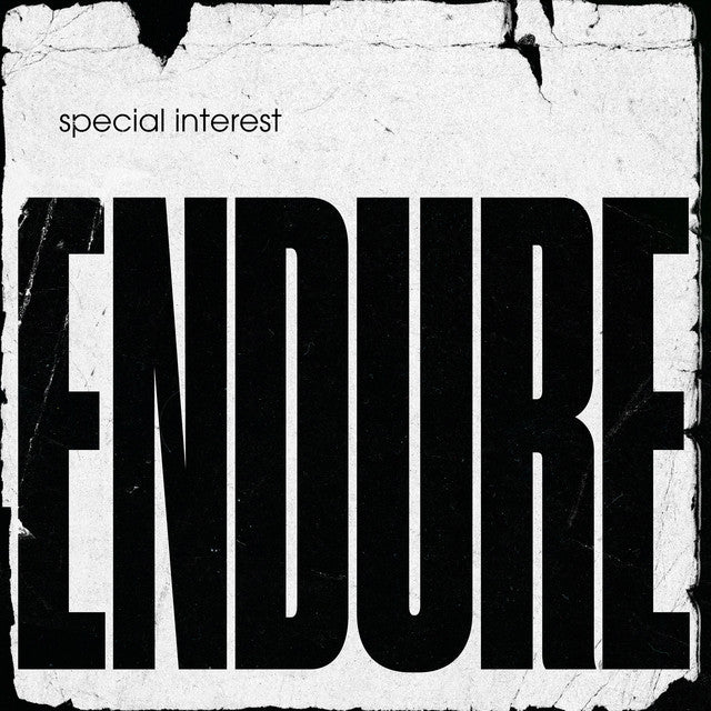 Special Interest - Endure Vinyl