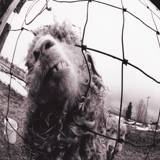 Pearl Jam – VS