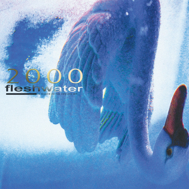 fleshwater -2000: In Search Of The Endless Sky Vinyl