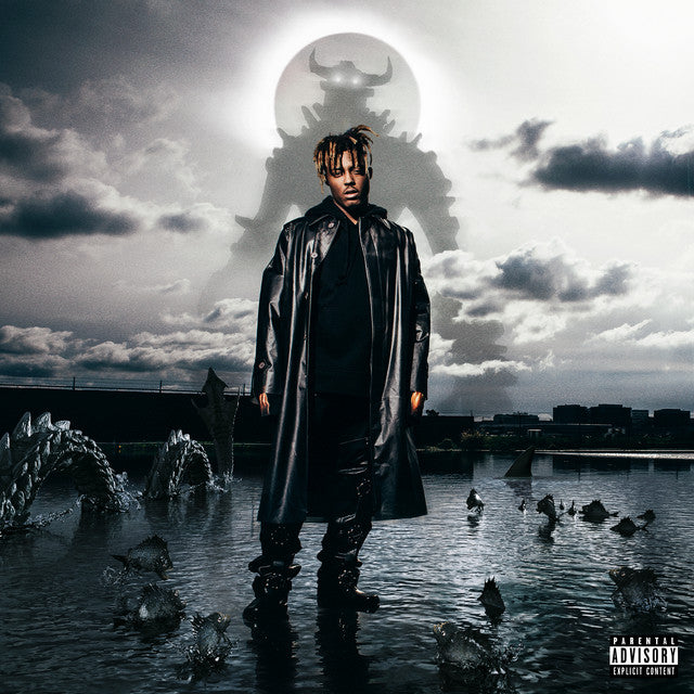 Juice Wrld - Fighting Demons Vinyl