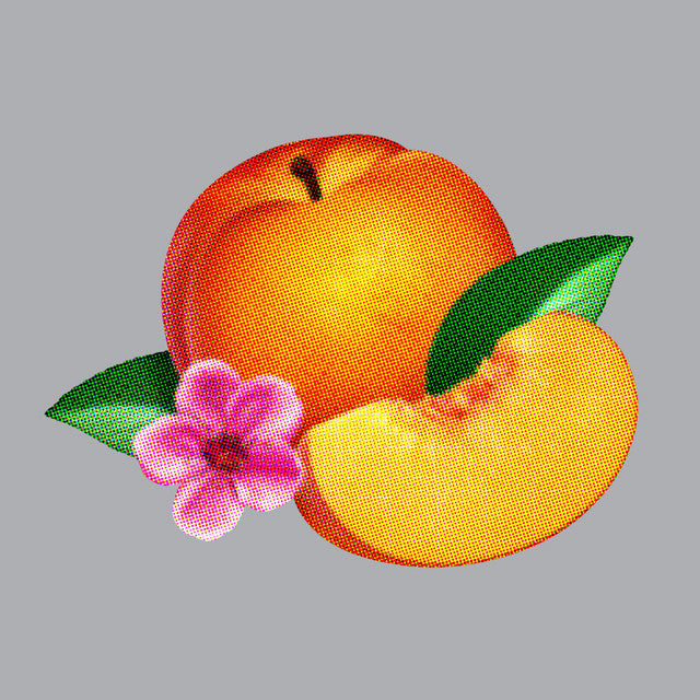 Phoenix - Bankrupt Vinyl