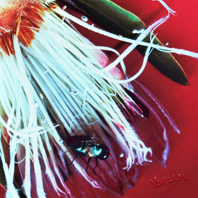 YONLAPA - Velvet Petals Vinyl