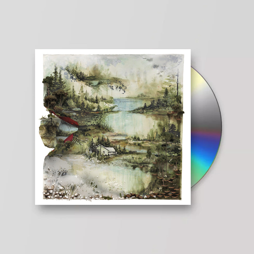 Bon Iver - Bon Iver