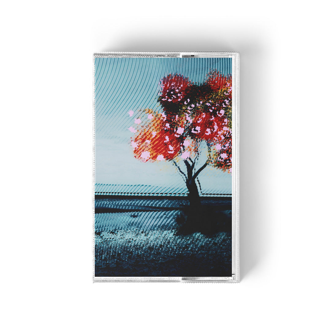 Marcid - Sheer [Pre-order]
