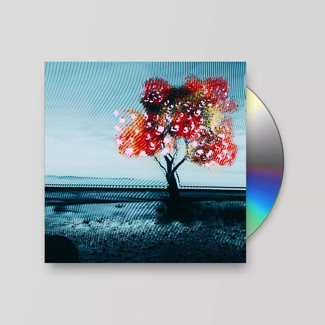 Marcid - Sheer [Pre-order]
