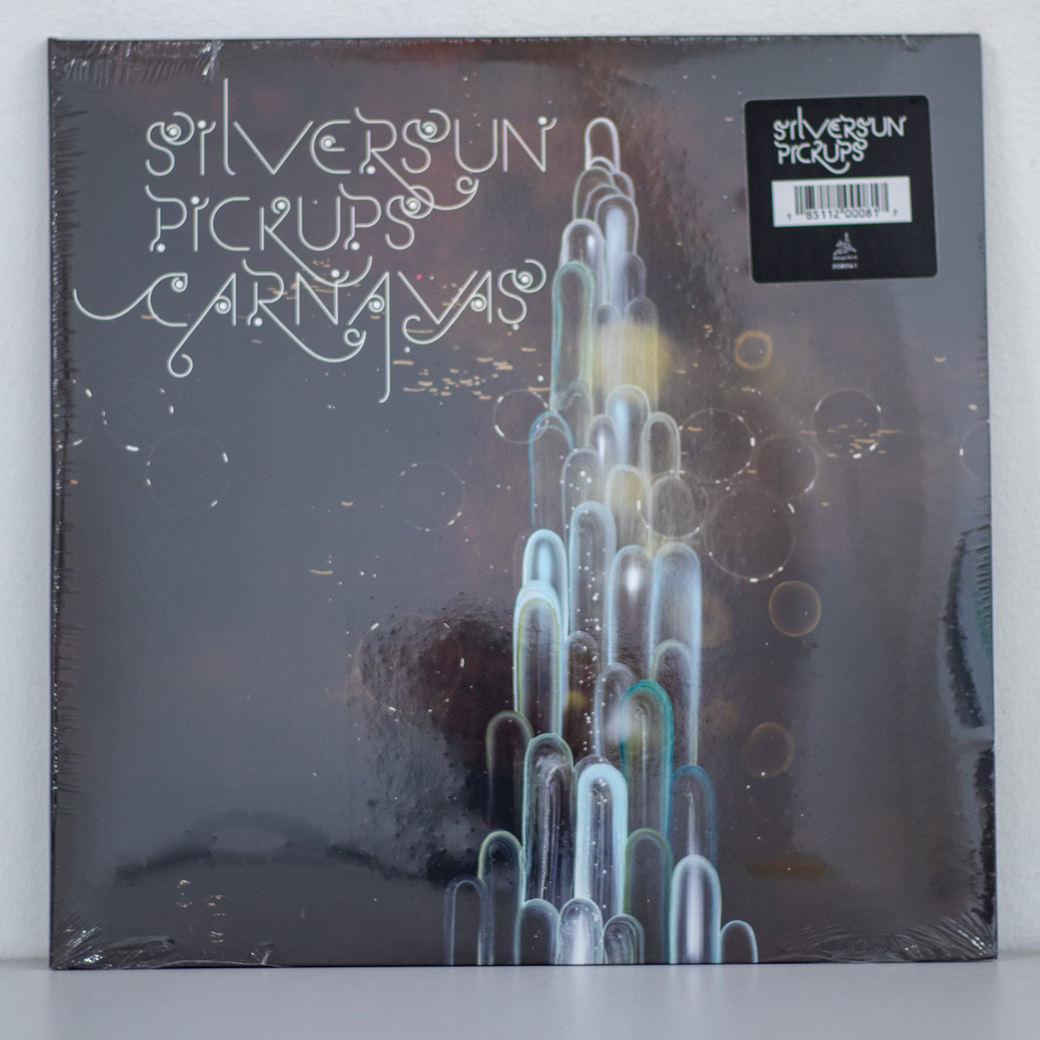 Silversun Pickups  - CARNAVAS